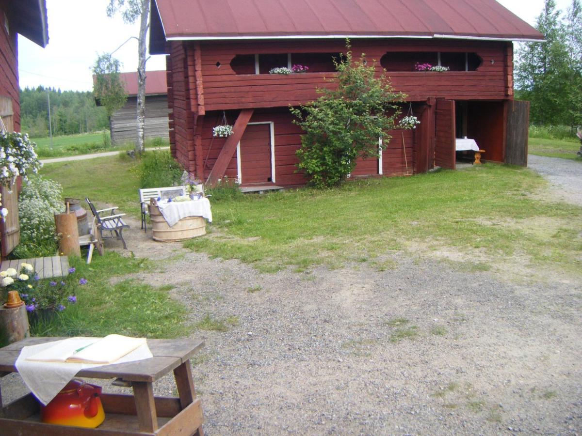 Lemettilä Countryside Accommodation Petäjävesi Exteriör bild