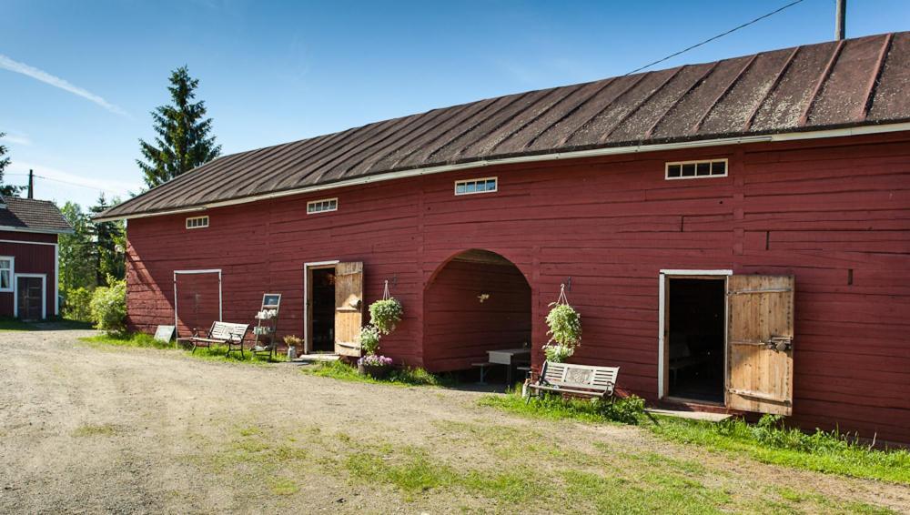 Lemettilä Countryside Accommodation Petäjävesi Exteriör bild