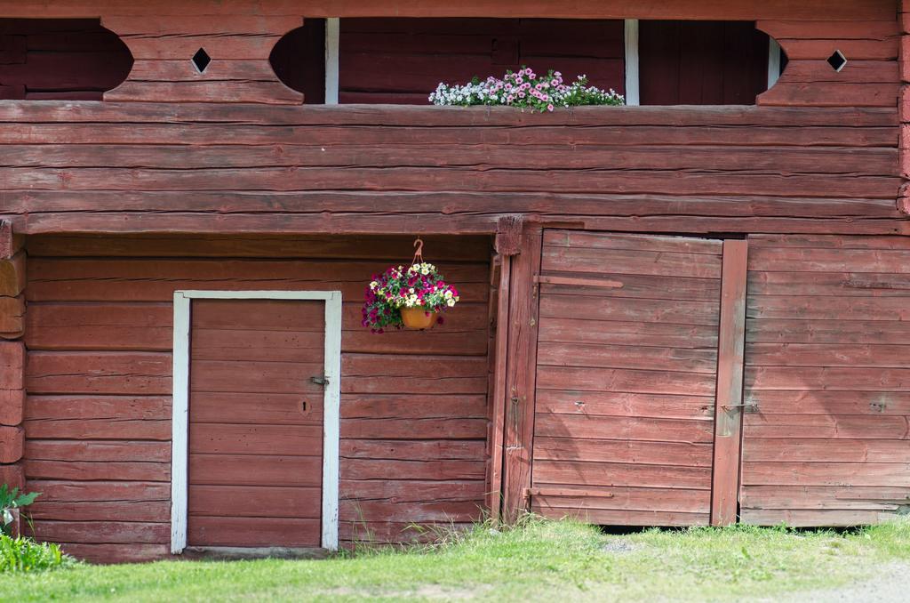 Lemettilä Countryside Accommodation Petäjävesi Exteriör bild